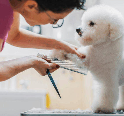 Pet Groomer